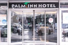 1palminn-dis